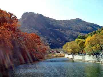 澳门二四六天天彩图库，天涯社区论坛